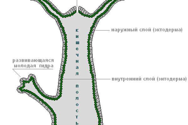 Как зайти на через айфон