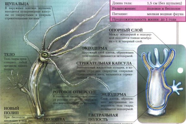 Kraken tor onion зеркало