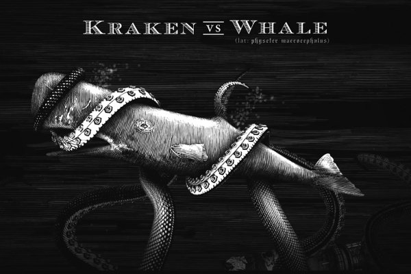 Kraken 19at