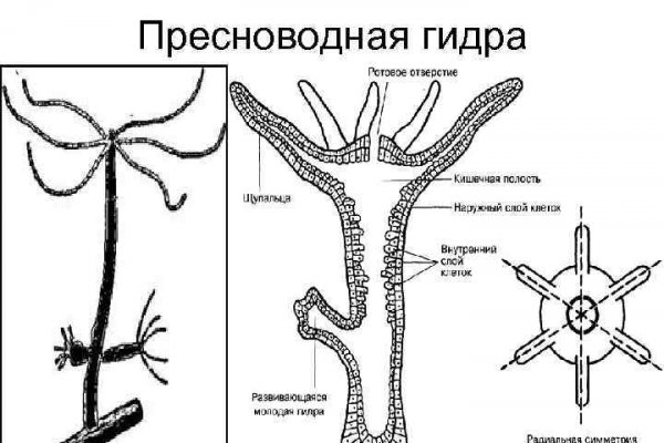 Kraken darknet зеркала  обход