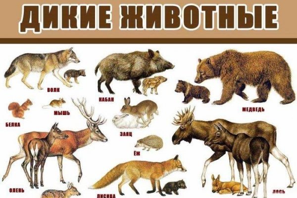 Кракен регистрация