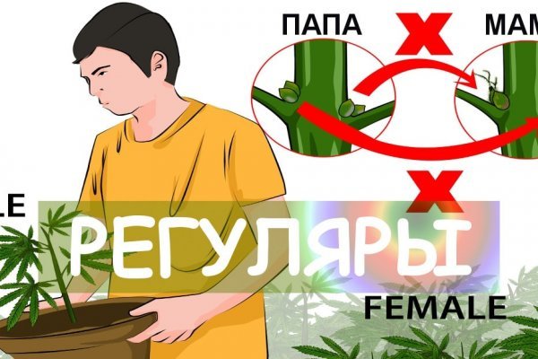 Что такое кракен в даркнете
