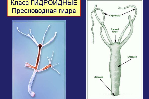 Кракен зеркала официальные