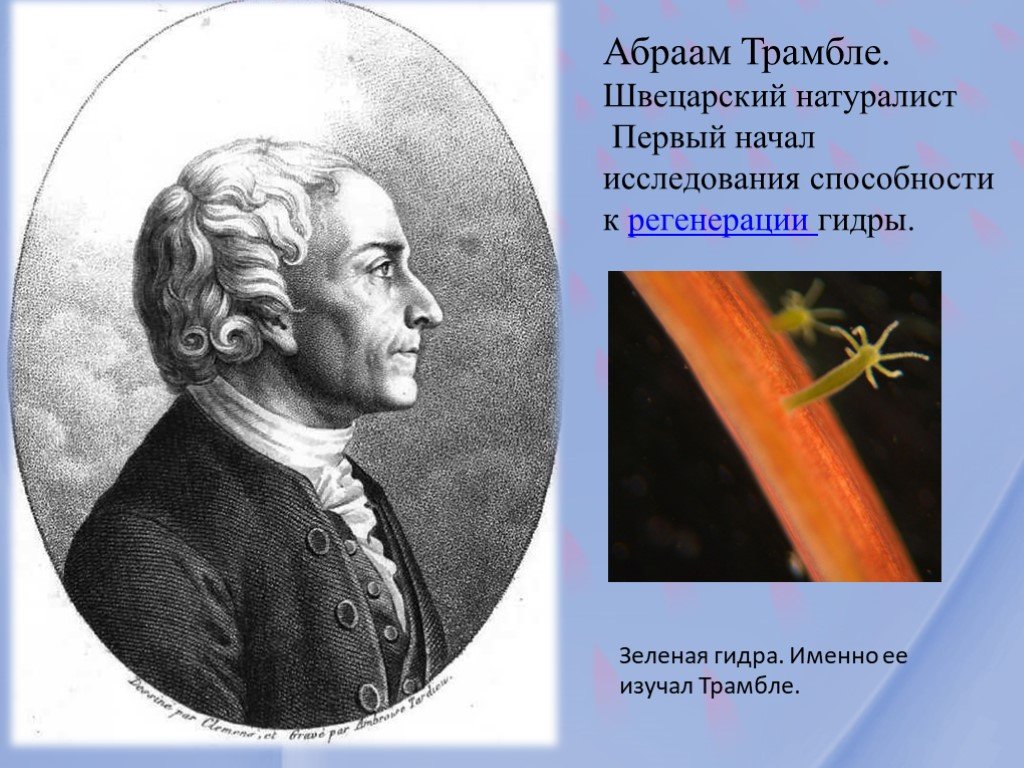 Как пополнять кракен тор